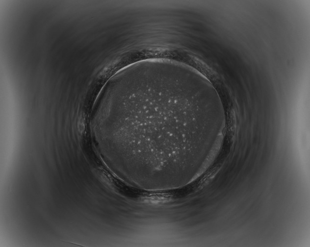 X0000086010758200704131827
