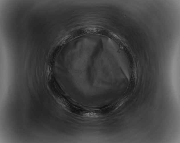 X0000086010759200704131827