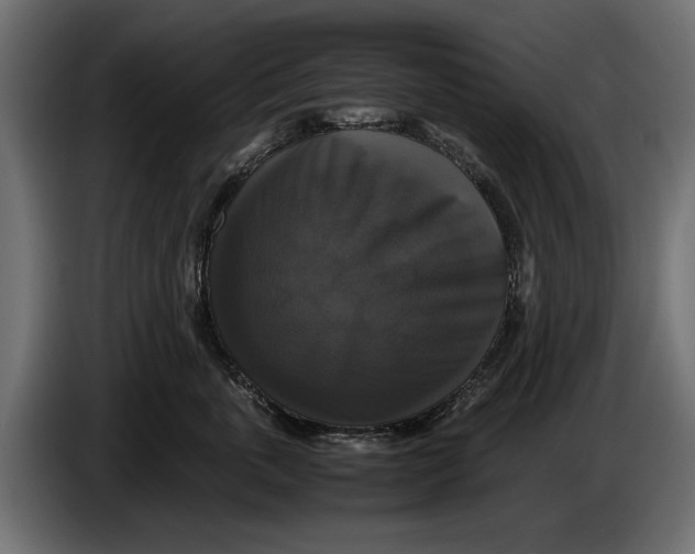 X0000086010763200704131827