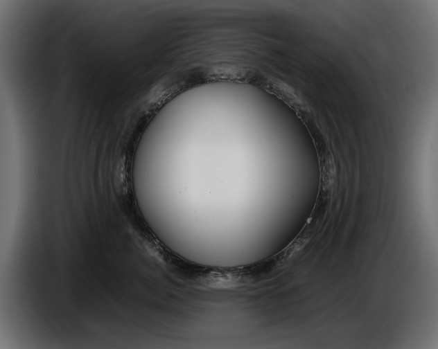 X0000086010764200704131827