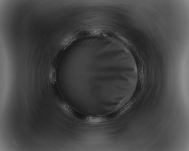 X0000086010766200704131827
