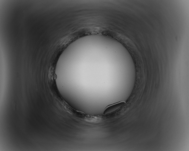 X0000086010768200704131827