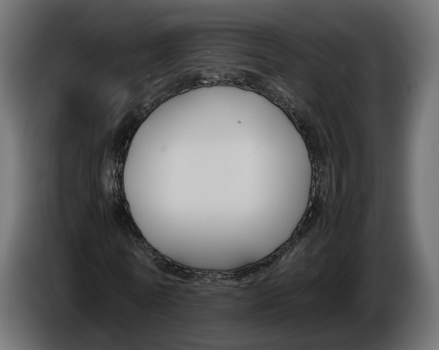 X0000086010770200704131827