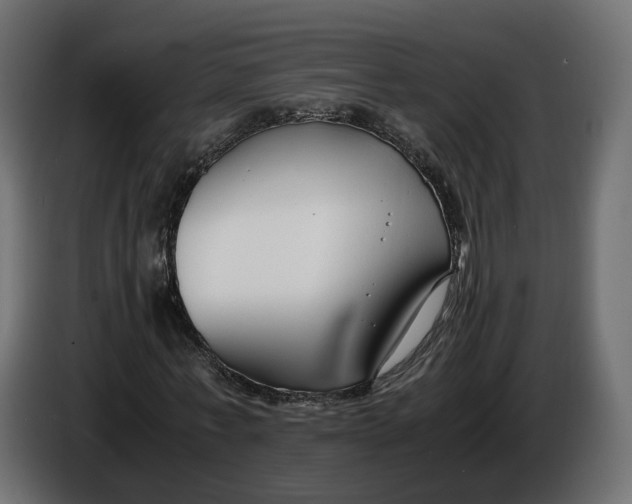X0000086010771200704131827