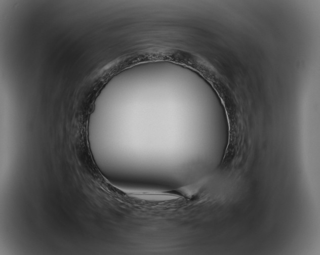 X0000086010773200704131827