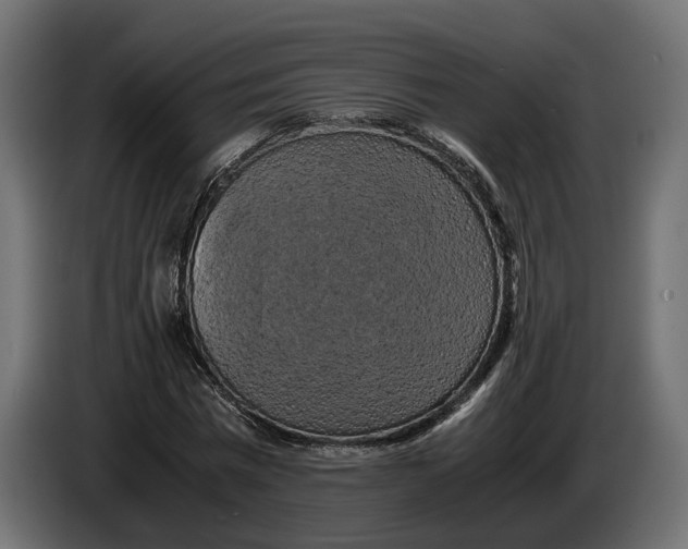 X0000086010777200704131827