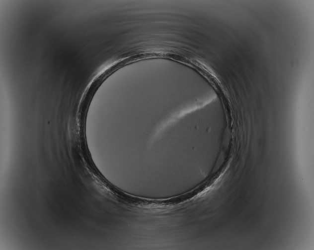 X0000086010779200704131827
