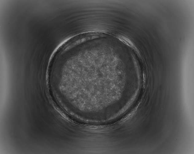 X0000086010780200704131827