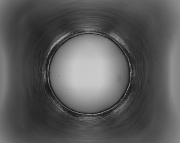 X0000086010782200704131827