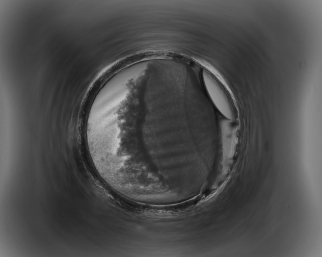 X0000086010783200704131827