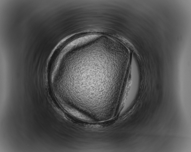 X0000086010784200704131827