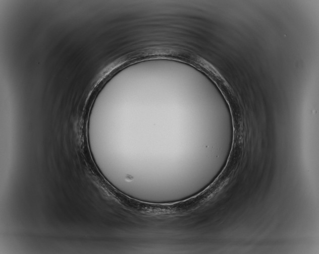 X0000086010786200704131827