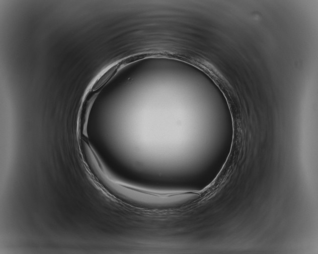 X0000086010788200704131827