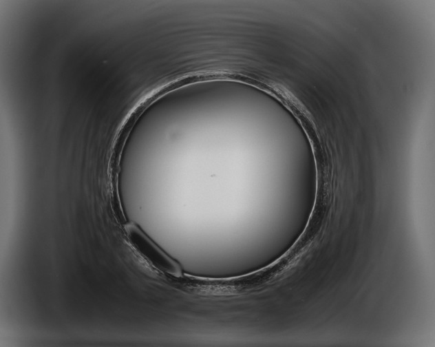 X0000086010789200704131827