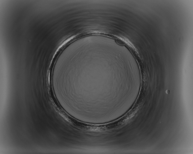 X0000086010790200704131827
