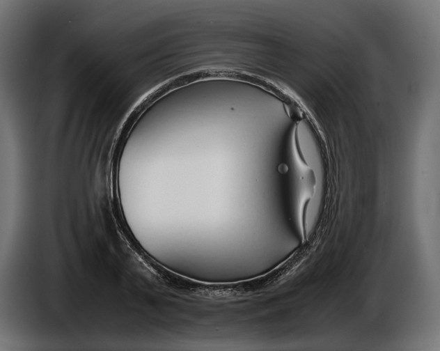 X0000086010791200704131827