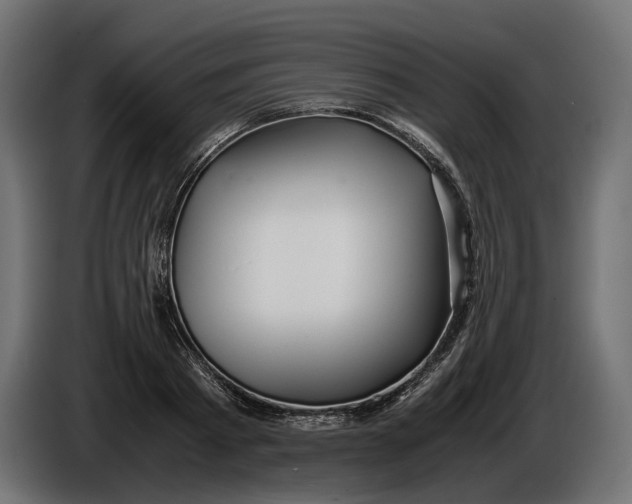 X0000086010793200704131826