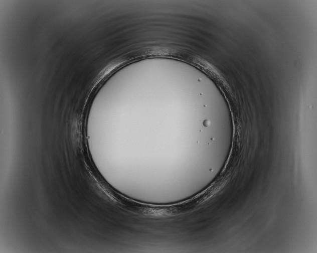 X0000086010794200704131826