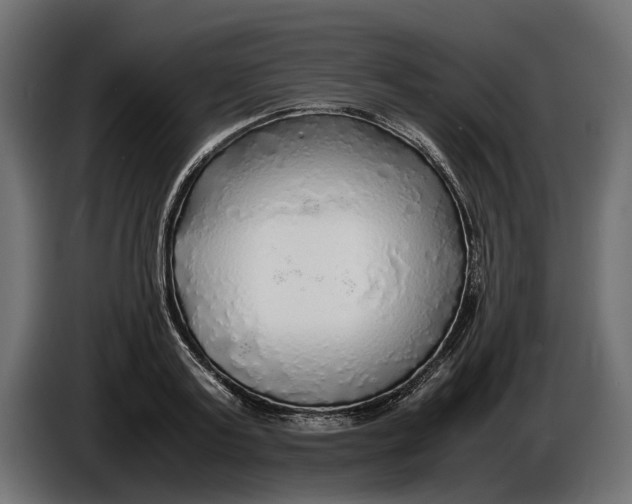 X0000086010795200704131826