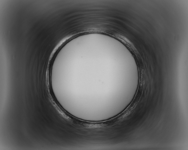 X0000086010796200704131826