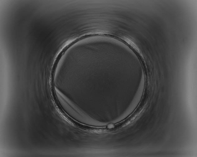 X0000086010797200704131826