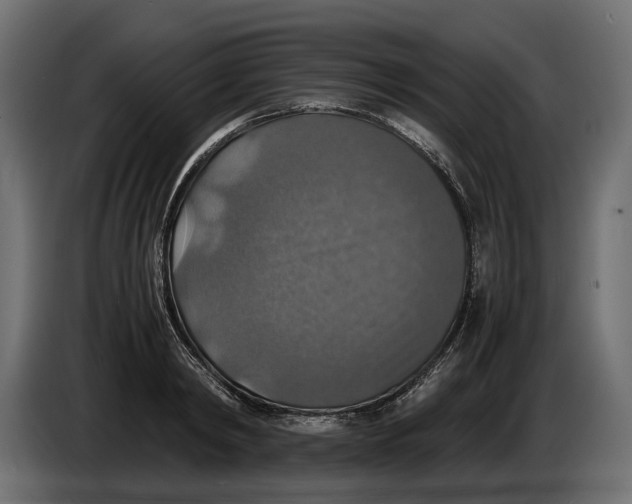 X0000086010798200704131826