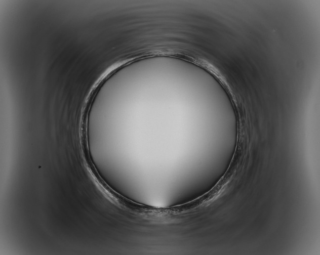 X0000086010803200704131826