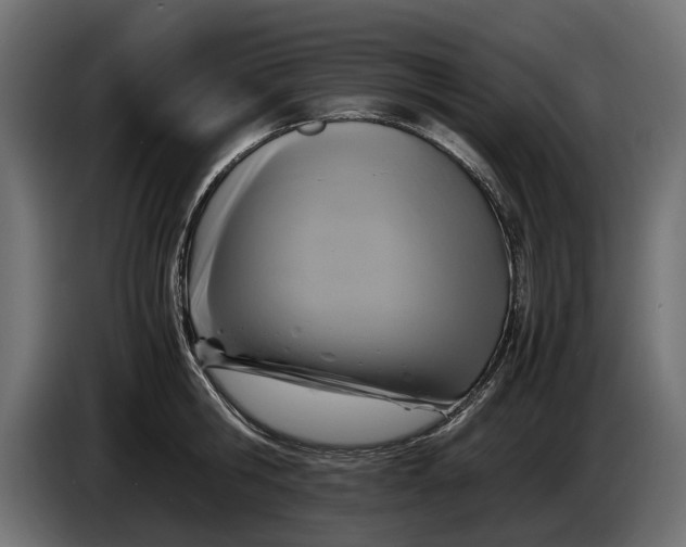 X0000086010806200704131826