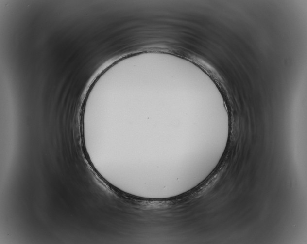 X0000086010808200704131826