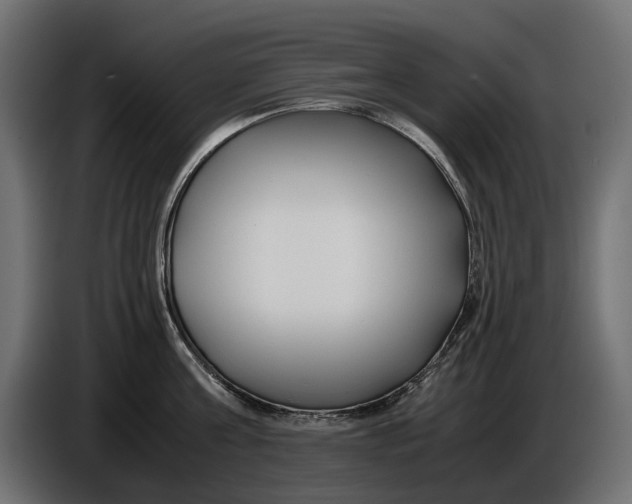 X0000086010811200704131826
