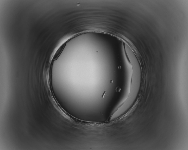X0000086010812200704131826