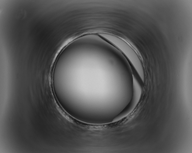 X0000086010813200704131826