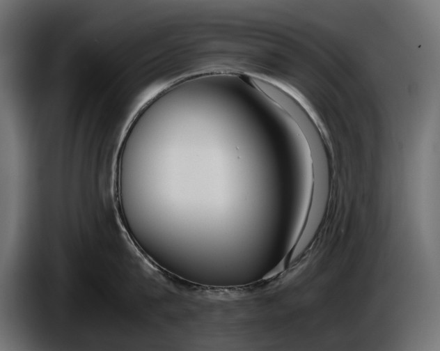 X0000086010815200704131826