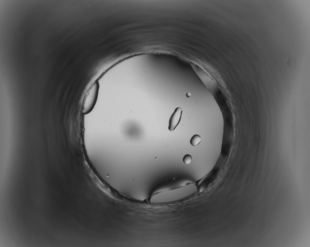 X0000086010816200704131826