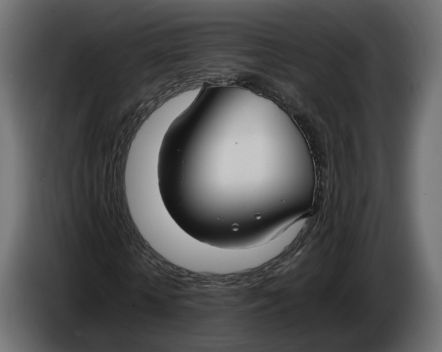 X0000086010818200704131825
