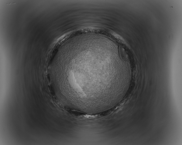 X0000086010822200704131826