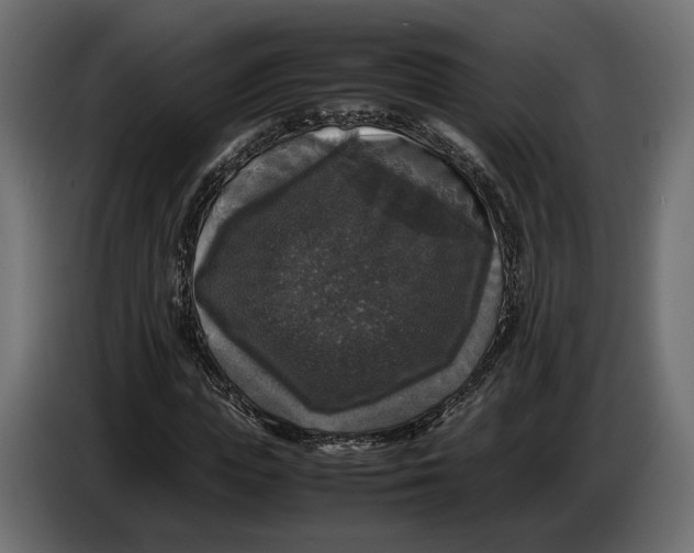 X0000086010823200704131826