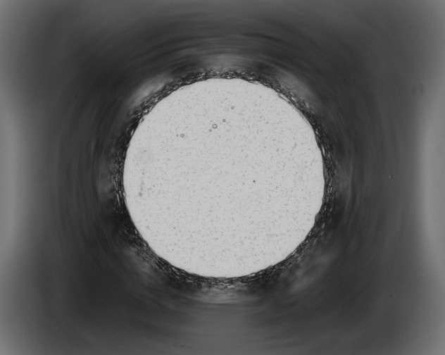 X0000086010824200704131826