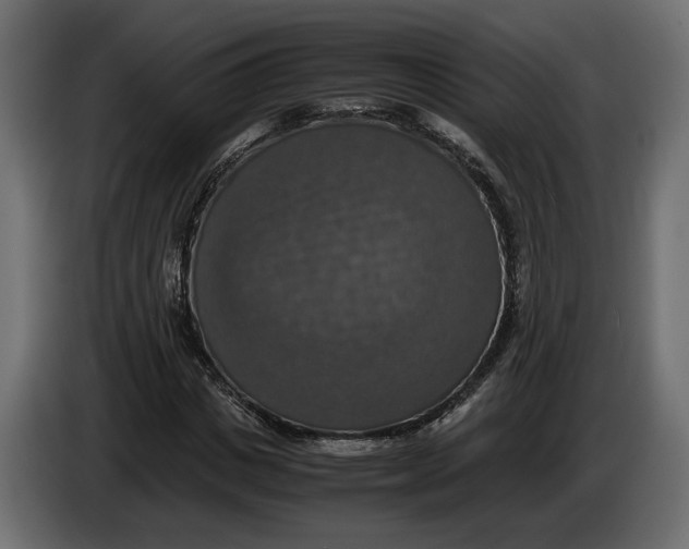 X0000086010825200704131826