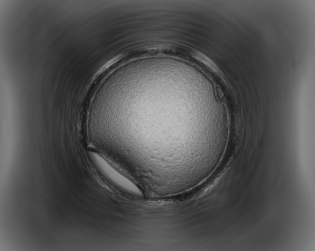 X0000086010826200704131826