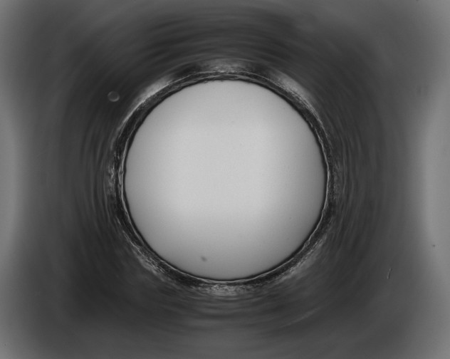 X0000086010827200704131826