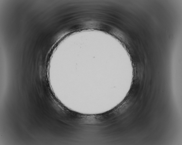 X0000086010828200704131826