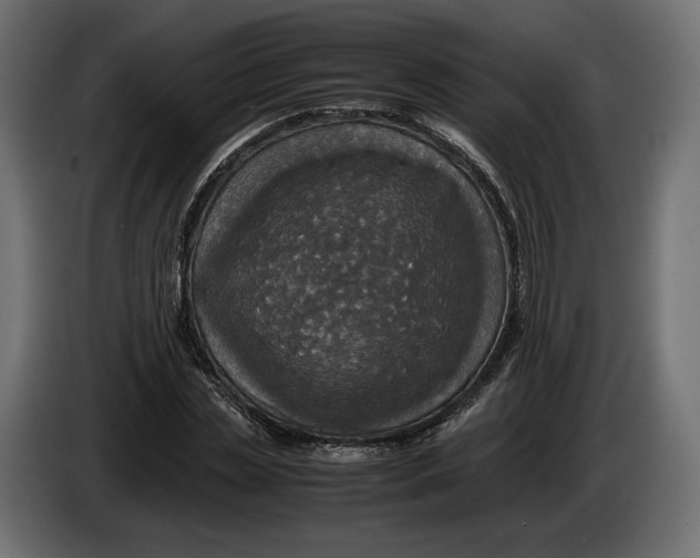 X0000086010829200704131826
