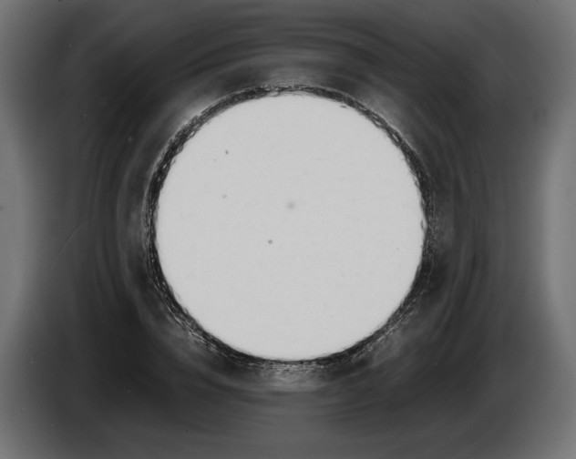 X0000086010832200704131826