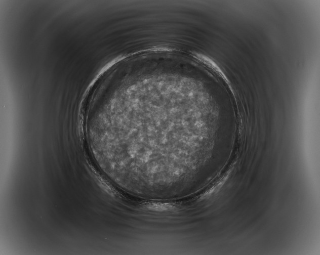 X0000086010835200704131826