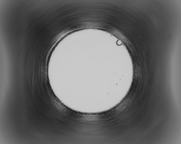 X0000086010836200704131826