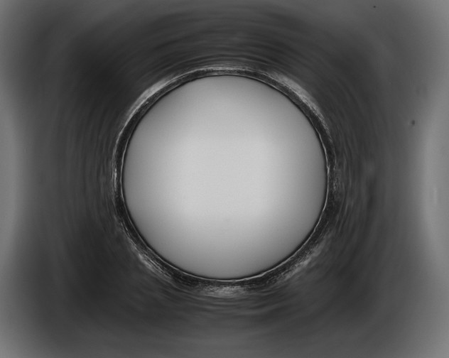 X0000086010837200704131826