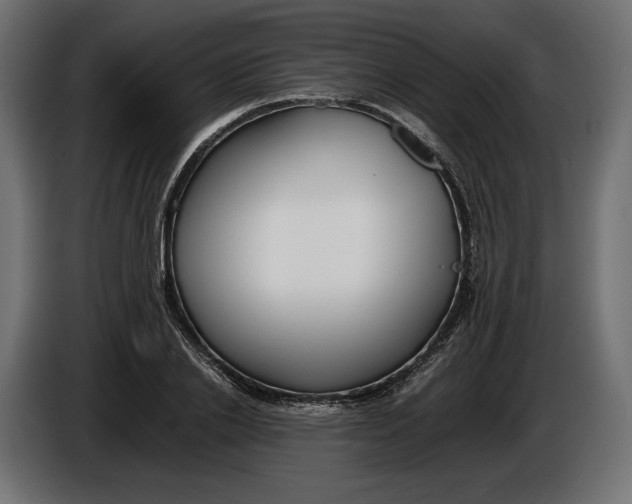 X0000086010838200704131826