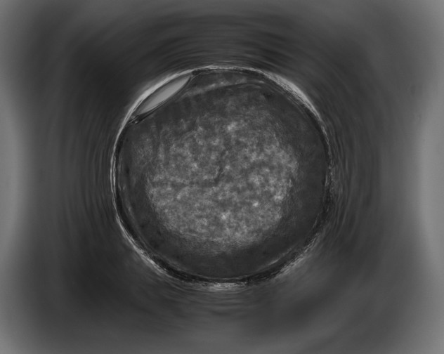 X0000086010839200704131826