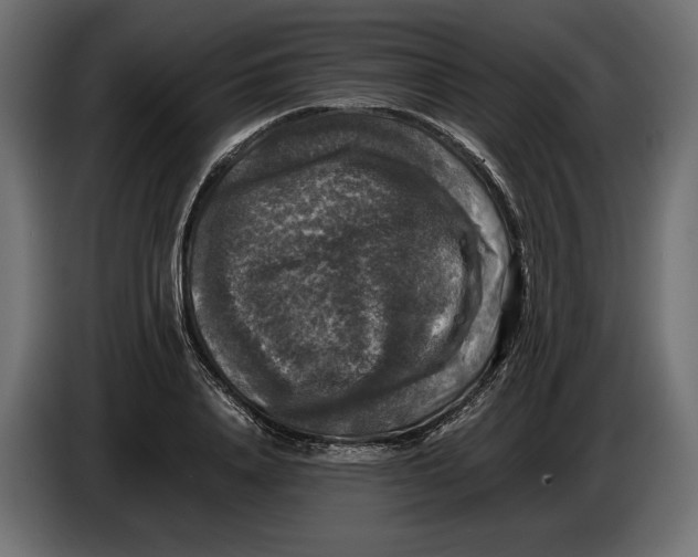 X0000086010840200704131826